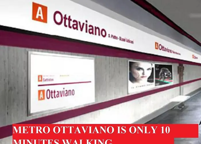 Vatican Terrione 105 *